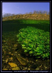 Photo session in a small Canal...  Que du bonheur... :O)... by Michel Lonfat 